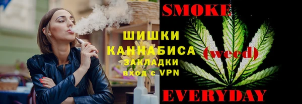 spice Алзамай