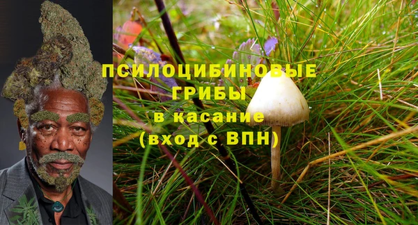 spice Алзамай