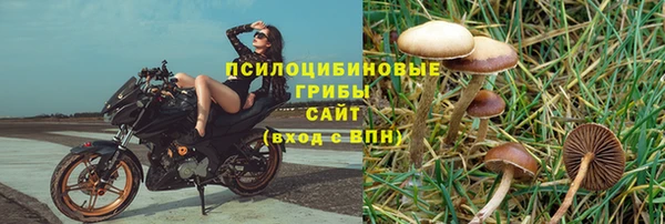spice Алзамай