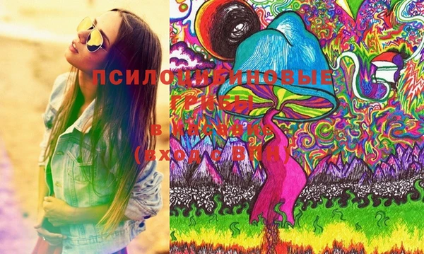 spice Алзамай