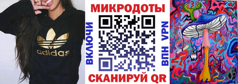 кракен как войти  Петровск-Забайкальский  Псилоцибиновые грибы мицелий 